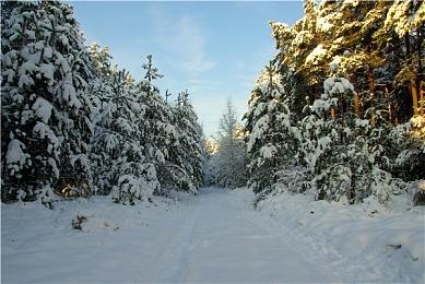 《宝可梦传说阿尔宙斯》疑似暗藏现代房间 或将有DLC